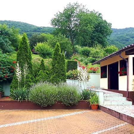 Silva House Hotel Deva Bagian luar foto