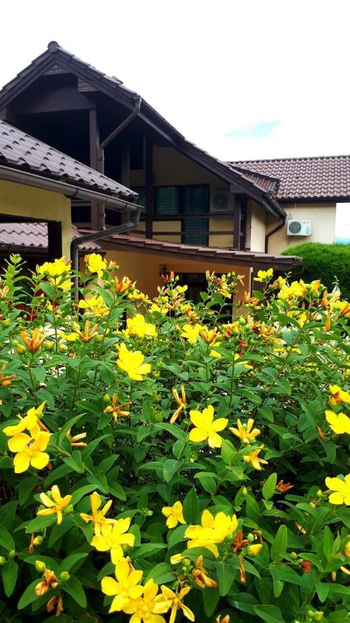 Silva House Hotel Deva Bagian luar foto