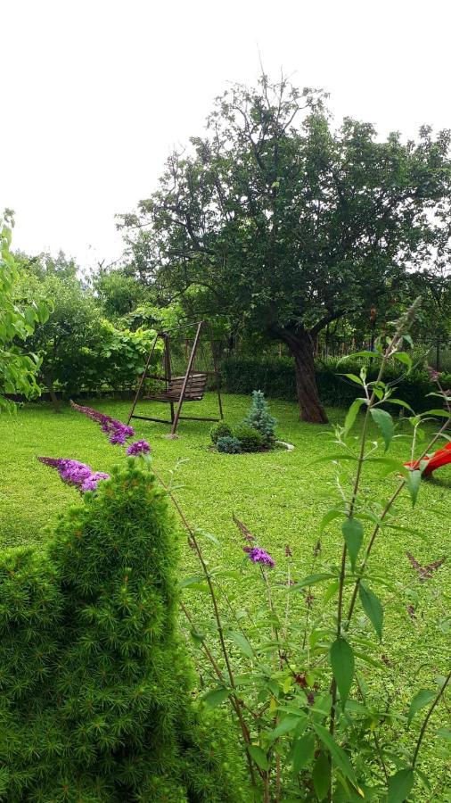 Silva House Hotel Deva Bagian luar foto