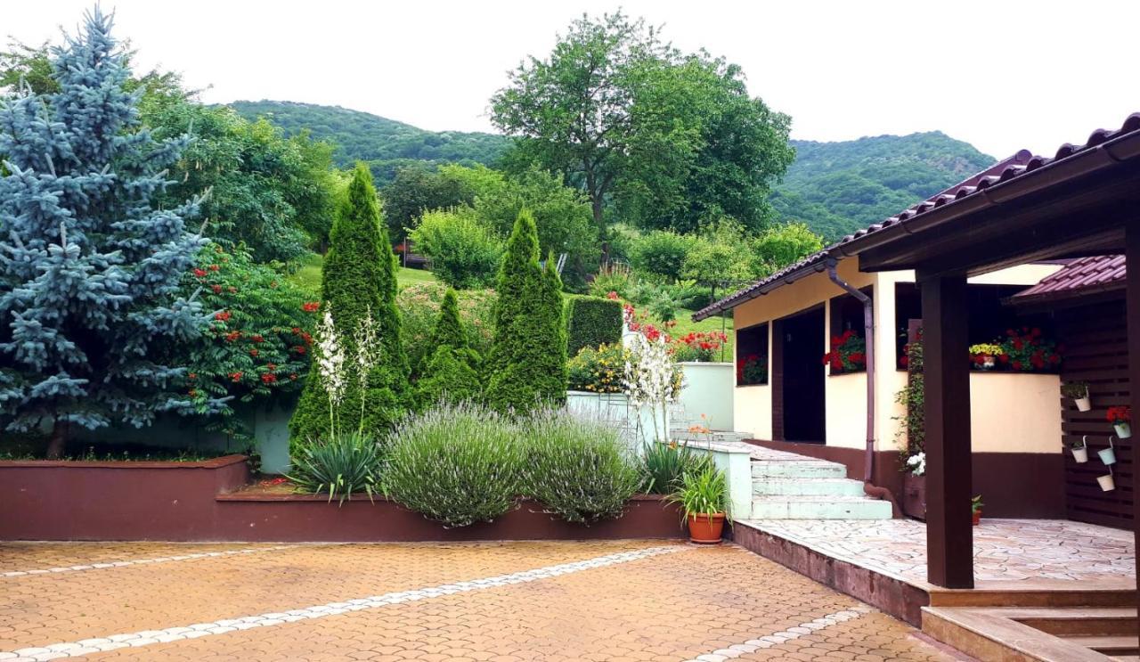 Silva House Hotel Deva Bagian luar foto