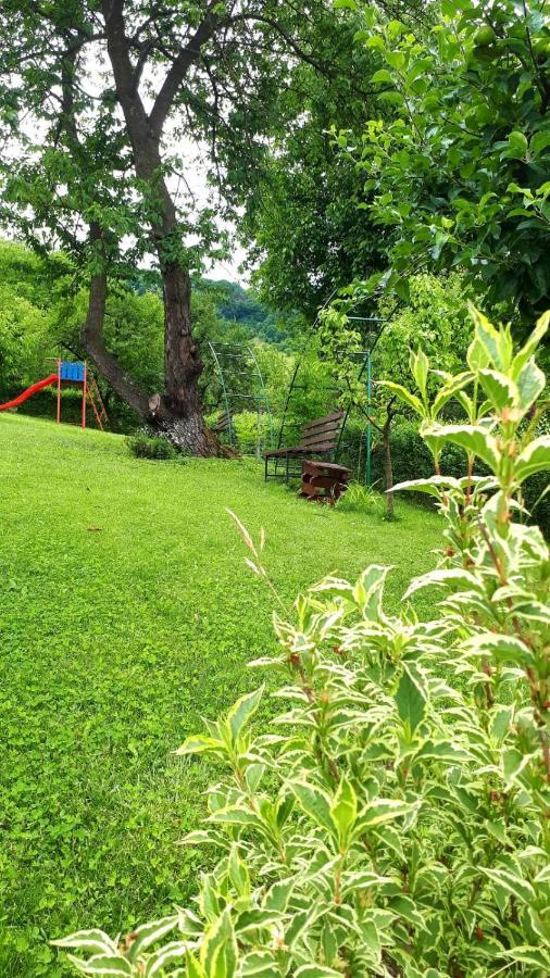 Silva House Hotel Deva Bagian luar foto