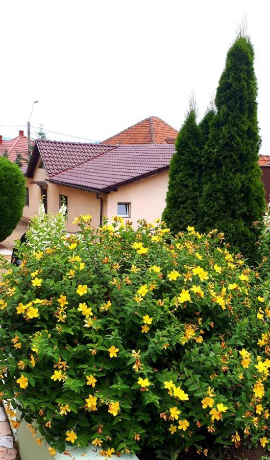 Silva House Hotel Deva Bagian luar foto