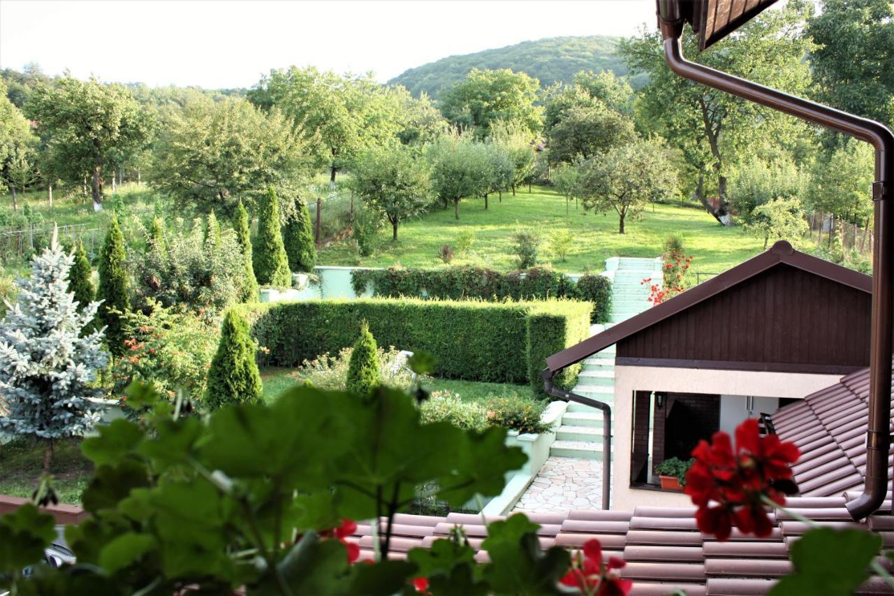 Silva House Hotel Deva Bagian luar foto