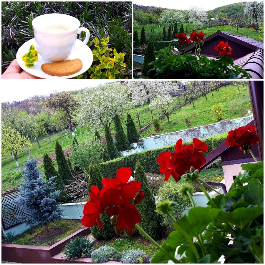 Silva House Hotel Deva Bagian luar foto